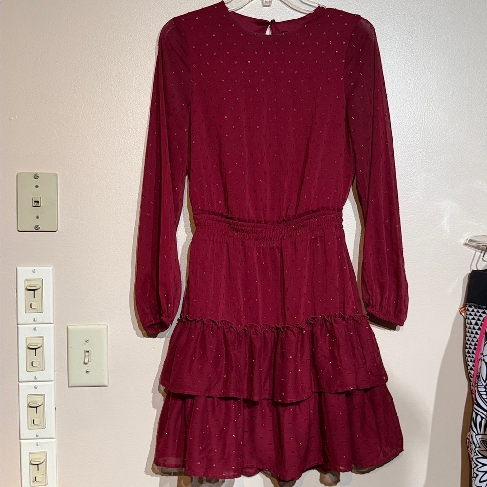 Express Burgundy Long Sleeve Dress